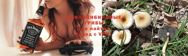 дживик Алзамай