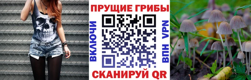 цены наркотик Железногорск Галлюциногенные грибы Magic Shrooms